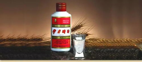 快訊 搶鮮看 喜力最新無(wú)酒精飲料新廣告 恒天然董事長(zhǎng)因病辭職 怡泉推新 c減糖版上市 能量飲料和酒混合飲用有危險(xiǎn)...